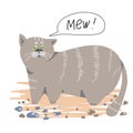 Fat grey cat meows.